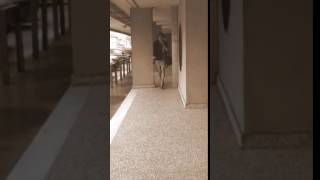 crossdresser in public