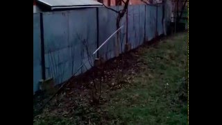 слабкий огляд спінінгів Flagman FIREFLY SPIN 1.98м 0.5-5г і Flagman Sensor Nuovo 6'6" 0.5-7G tubular