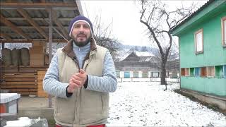 Интересный канал для пчеловодов (mikalai khalenkow) 1.02.2020