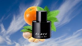 Kenneth Cole - Black (Fragrance Review)