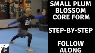 KUNG-FU Follow Along, Step-By-Step: Small Plum Blossom Core Form