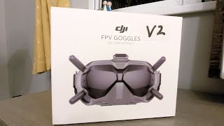 DJI FPV V2 Goggles - Where are the OLEDS?