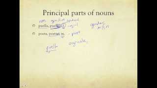 First Declension Nouns