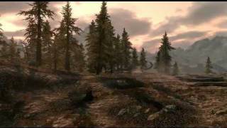 Funny glitches in Skyrim :)