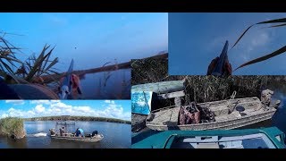 Охота на утку,открытие 2017, интересные моменты,лодка-болотоход.