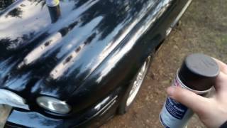 КАК ПОКРАСИТЬ JAGUAR КРАСКОЙ ИЗ ХОЗМАГА, В ЛЕСУ?! ОЧЕВИДНОЕ-НЕВЕРОЯТНОЕ!