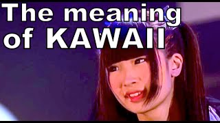What does KAWAII really mean? | Takamasa Sakurai Interview | 櫻井孝昌「KAWAIIの意味について」