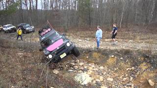 SnickerDoodles 1st Gen Xterra - AOOA PA