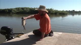 Рыбалка неводом и огромный лещ на удочку.  Fishing seine and huge bream for fishing