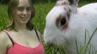 Pagan Origin of Easter, Sex Goddess, Rabbits & Playboy Bunny