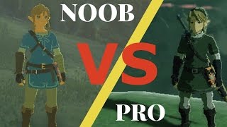 Breath of the Wild NOOB VS  PRO