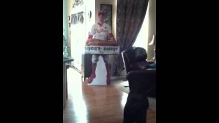 Bella barking at Hunter Pence