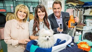 Pet Bathing Hacks with Laura Nativo