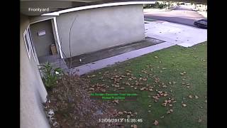 Lakewood, CA theft caught on camera. Please help catch this criminal and her accomplice!