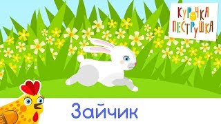 Зайчик - КУРОЧКА-ПЕСТРУШКА Песенки мультики про животных для детей малышей