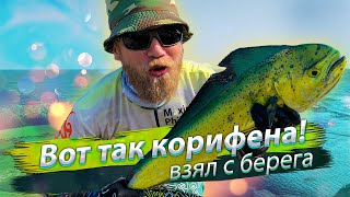 ВОТ ЭТО КОРИФЕНА! Морская рыбалка с берега. Сёрфтроллинг. 2019/08