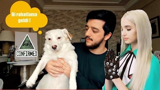 İlluminati Poppy Bizi Hipnoz Etti Mi ? (Köpeğim Şilanın Tepkisi)