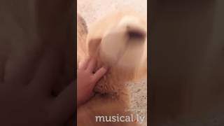 Stop tickleing