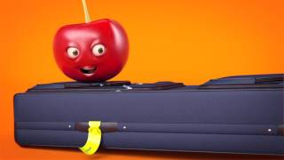 Travel with checked baggage on your holiday!