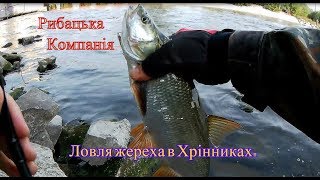 Ловля жереха в Хрінниках. Білого хижака там дуже багато!