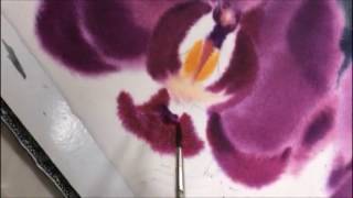 Master-class  Galina Gomzina "Orchid"(Орхидеи)