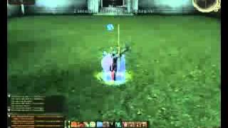 Lineage2 Kamael PvP Berserker Z1ob1.mp4(PVP КАМАЭЛЬ ИЗ ЛИНЕДЖ 2)