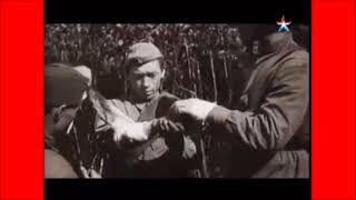 К 75-и летию освобождения Кубани от немецких захватчиков посвящаю.