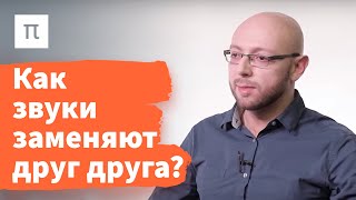 Отношения между звуками в языке — Александр Пиперски 