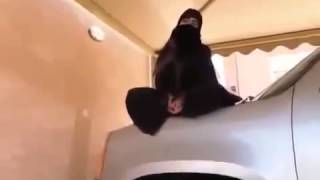 بنت منقبه سعودية سكرانه   YouTube