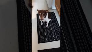 ROSE ACTING PITIFUL 1