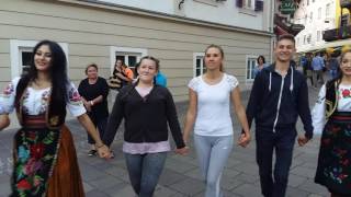 Kud Jasenica -Negotin-Srbija.