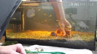 Aquarium opnieuw inrichten!