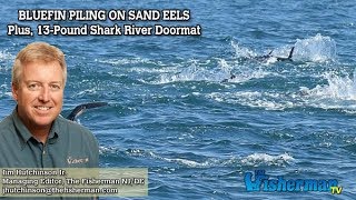 July 5, 2018 New Jersey/Delaware Bay Fishing Report with Jim Hutchinson, Jr.