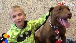 Little Boy Has Saved HUNDREDS Of Shelter Dogs | The Dodo Heroes