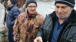 1.ч.// ГОЛУБИ // В ГОСТЯХ.У ИВАНА ИВАНОВИЧА // БЕЛАЯ ГЛИНА. КРАСНОДАРСКИЙ КРАЙ //Т- 89288441175.