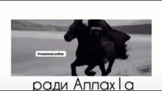 Халид Ибн Валид ❤️