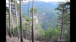 Крымский природный заповедник, Алушта, Крым