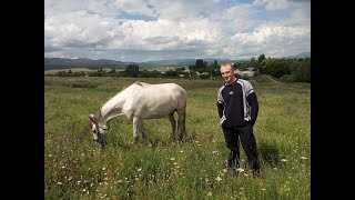 Любовь к Казахстану.( СТИХ)