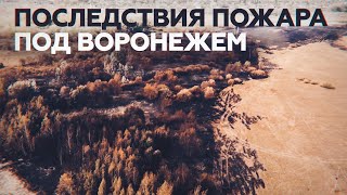 Беспилотник заснял последствия крупного пожара под Воронежем