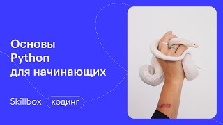 Знакомимся с основными элементами Python. Интенсив по программированию