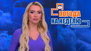 ОТ ЗАМОРОЗКОВ ДО +17°C! Погода на неделю | Прогноз погоды с 10 по 16 октября 2022 | Плюс-минус