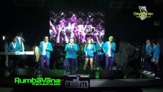 RumbaVana en vivo ... Dicen que dicen