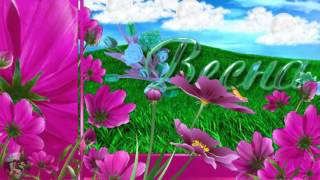 ФУТАЖ. ВЕСНА. СКАЧАТЬ БЕСПЛАТНО.FOOTAGE. SPRING. FREE DOWNLOAD. ProShow Producer