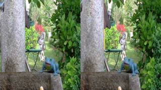 JVC GR-TD1 3D-Side-by-Side Aufnahme