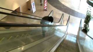 mac fact - escalator handrail