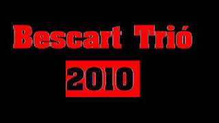 Bescart Trio 2010   Zsitheara