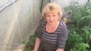 ОГУРЦЫ - ОСЛЕПЛЕНИЕ . ЭТО ВАЖНО !