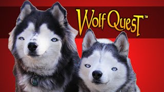 Der Wolf Simulator - Wolf Quest  Funny Moments