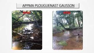 APPMA PLOUGUENAST GAUSSON  mike oldfield1