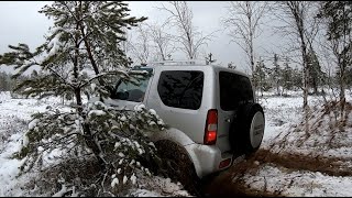 Внедорожник для города SUZUKI JIMNY на бездорожье в лесном болоте. Мини гелик
